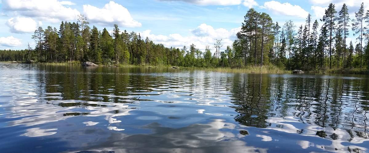 Greningssjön