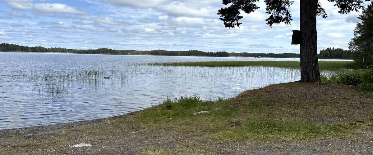 Halasjön1