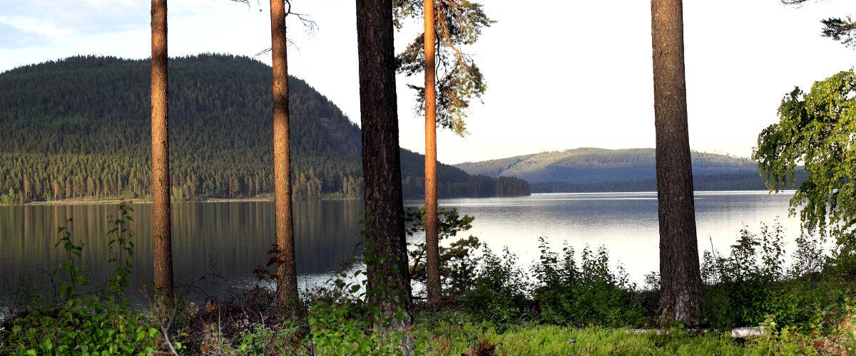 Gimdalens FVOF Idsjön. Lill-Myssjön. Ulvsjön. Skåsjön. - Image 1