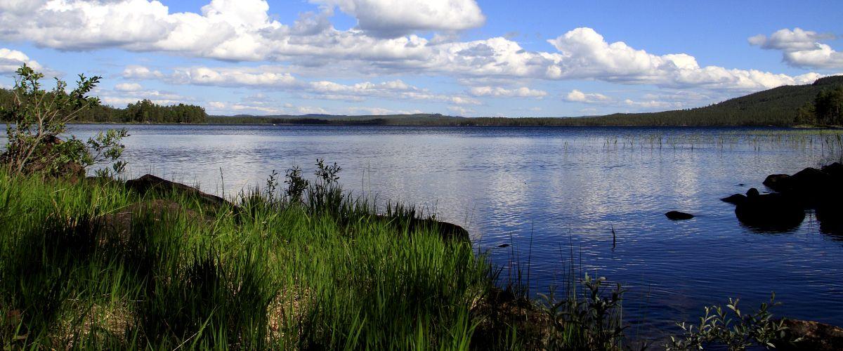 Gimdalens FVOF Idsjön. Lill-Myssjön. Ulvsjön. Skåsjön. - Image 3