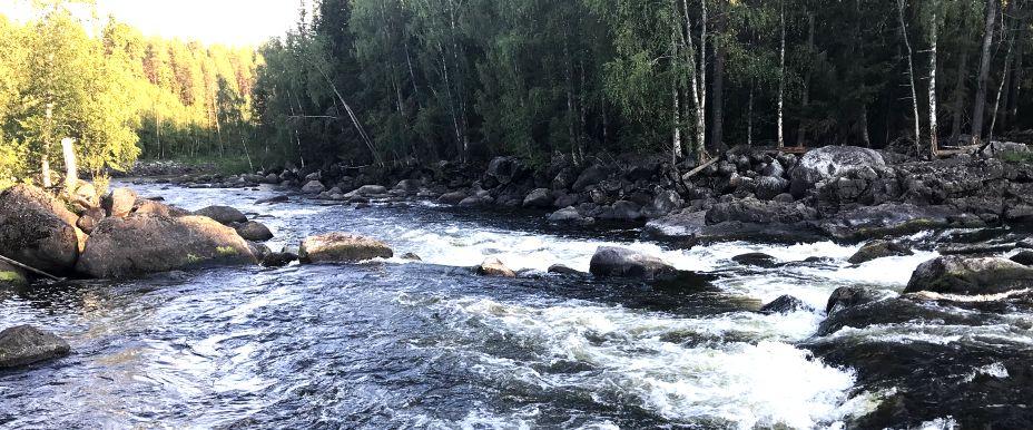 Vilda Borgforsen