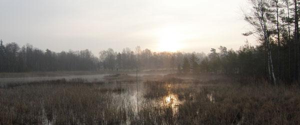 Örsjön-Lillasjön - Image 2