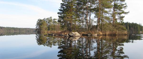 Örsjön-Lillasjön - Image 3
