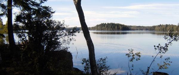 Örsjön-Lillasjön - Image 4