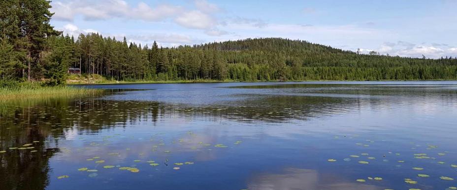 Bollsjön