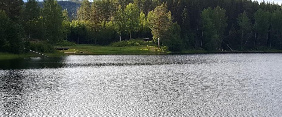 Öratjärn