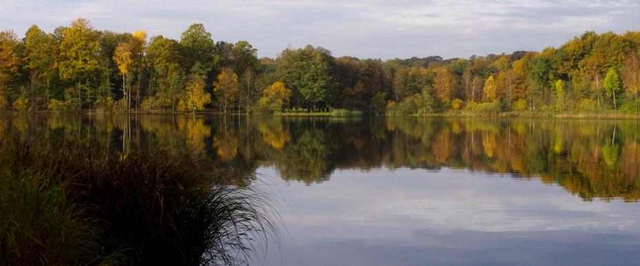 Photo of Bjärlången Dalsjön