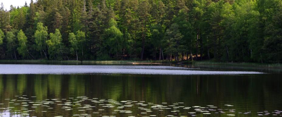 Bjärlången Dalsjön - Image 2