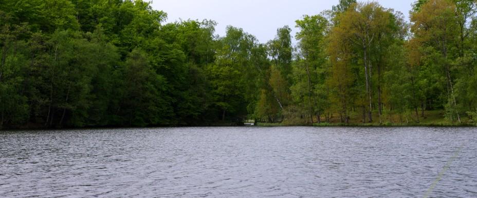 Bjärlången Dalsjön - Image 3