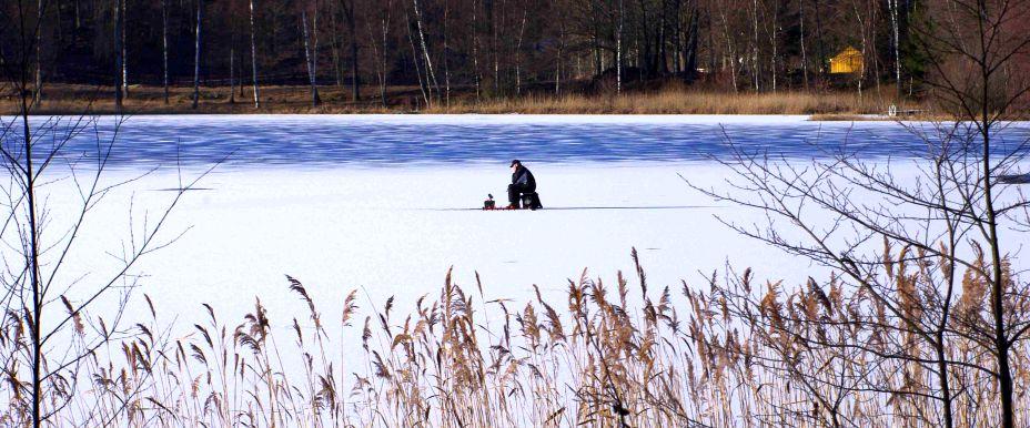 Bjärlången Dalsjön - Image 4