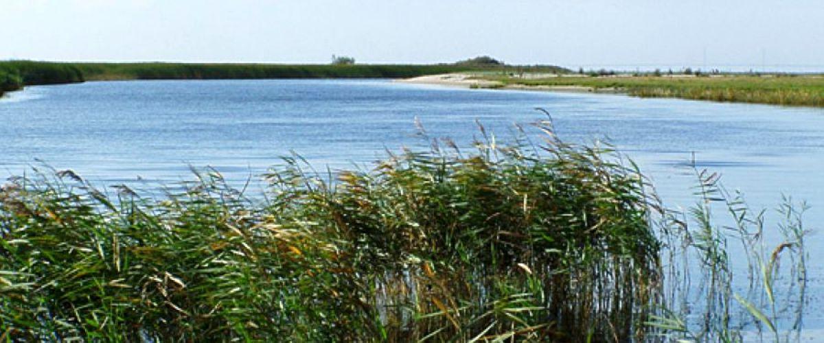 Photo of Kävlingeåns-Löddeåns FVOF