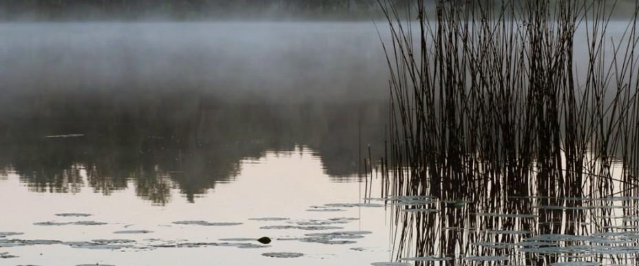 Bälingesjön - Image 2