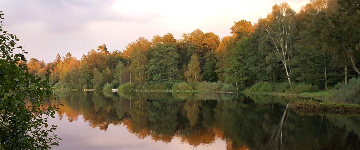 Vittsjö Nya FVOF - Image 9