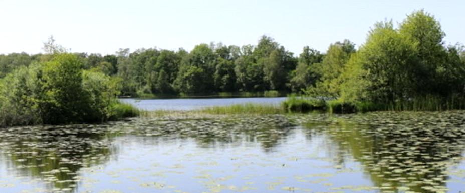 Vaxsjön - Image 3