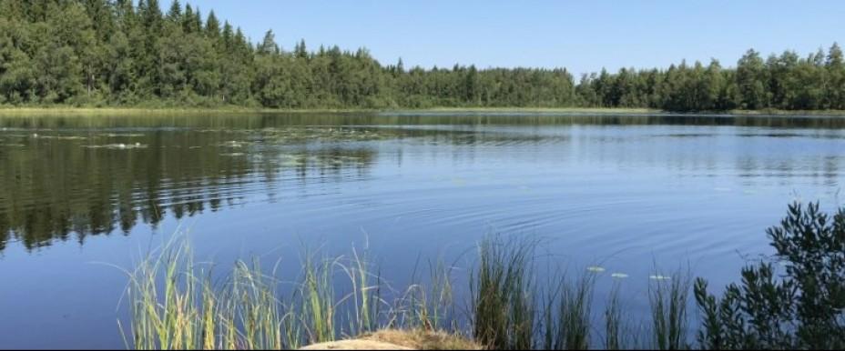 Åsjön m fl sjöar - Image 2