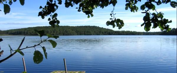 Photo of Skärshults FVOF