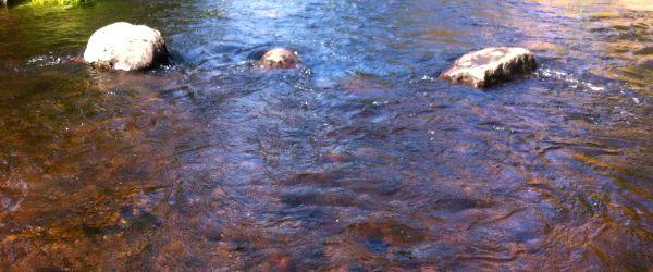 Harmångers Fiskeområde - Image 3