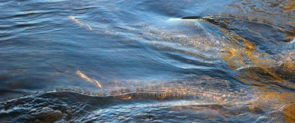Harmångers Fiskeområde - Image 6