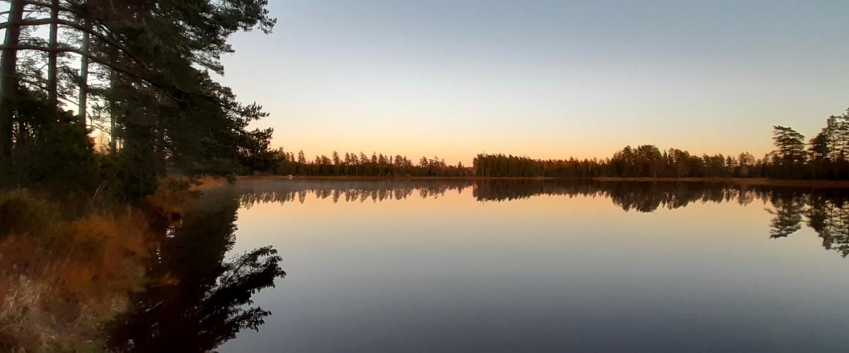 Häråns FVOF - Image 2