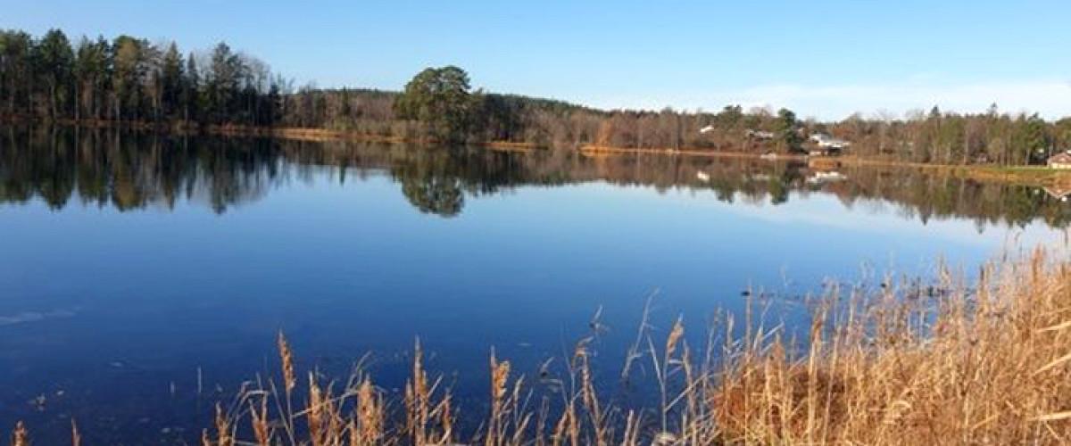 Rogbergasjön - Image 2