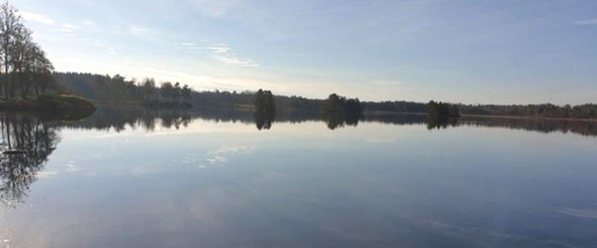 Rogbergasjön - Image 1