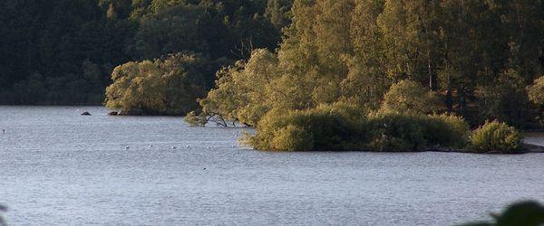 Tedensjöarna, Gersken och Losjön - Image 1