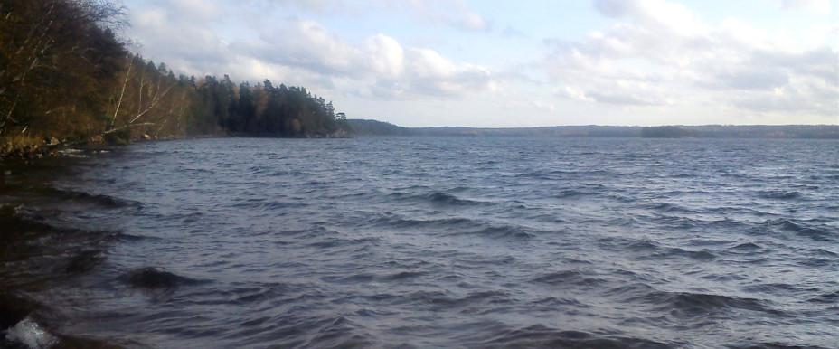 Mycklaflon - Image 1