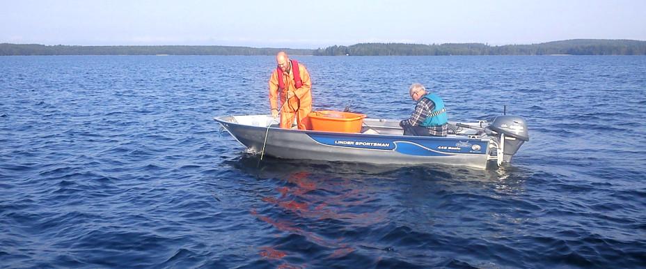 Mycklaflon - Image 3