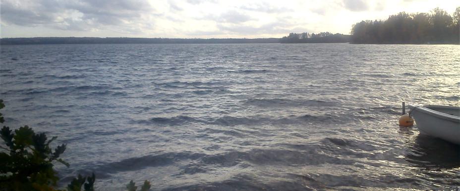 Mycklaflon - Image 6