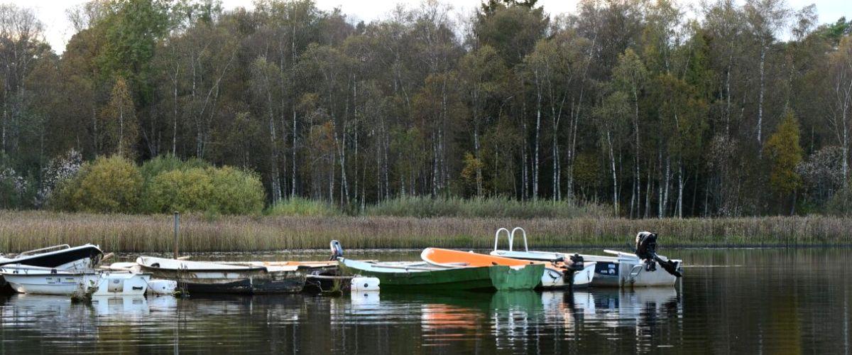 Ingarpasjöns FVOF - Image 2