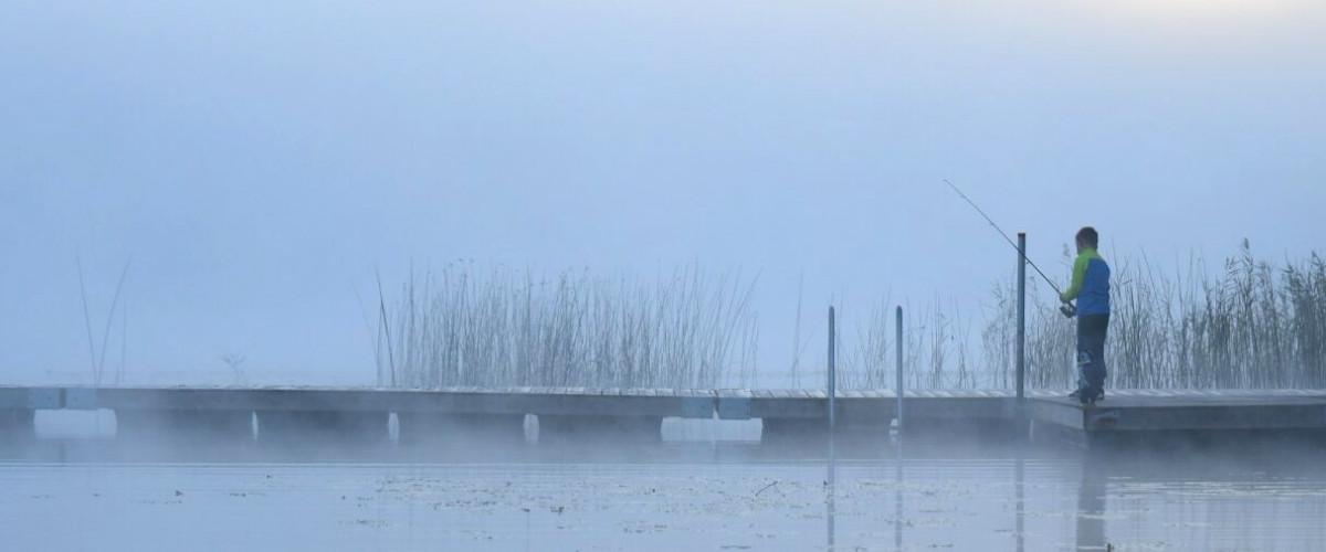 Ingarpasjöns FVOF - Image 5