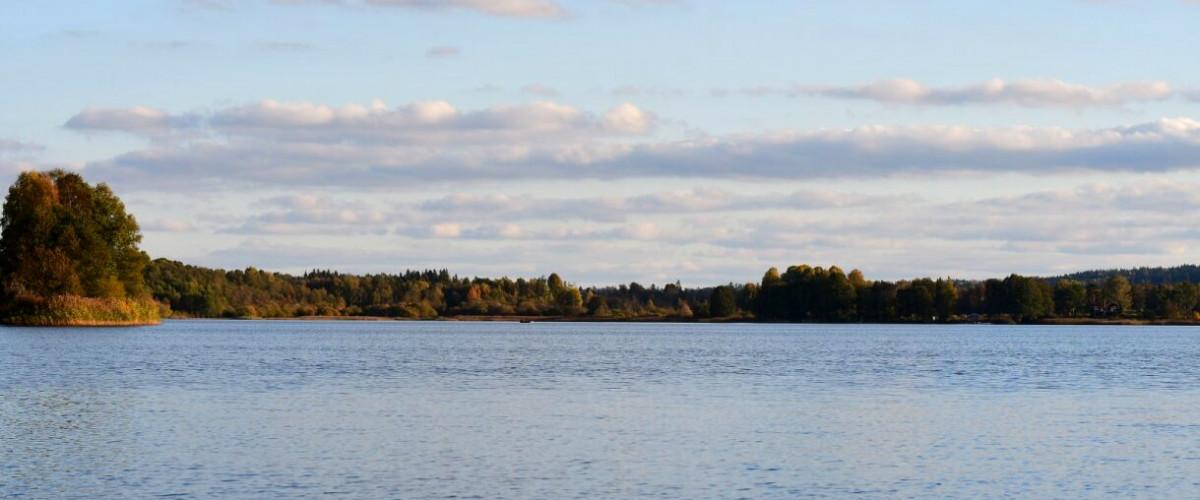Ingarpasjöns FVOF - Image 6