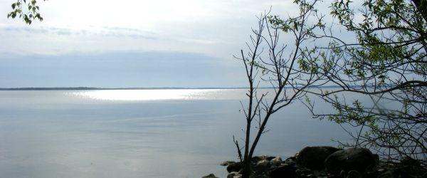 Glan - Image 2