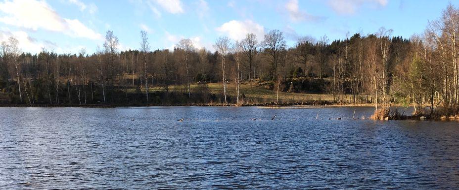 Sötåsasjön - Image 1