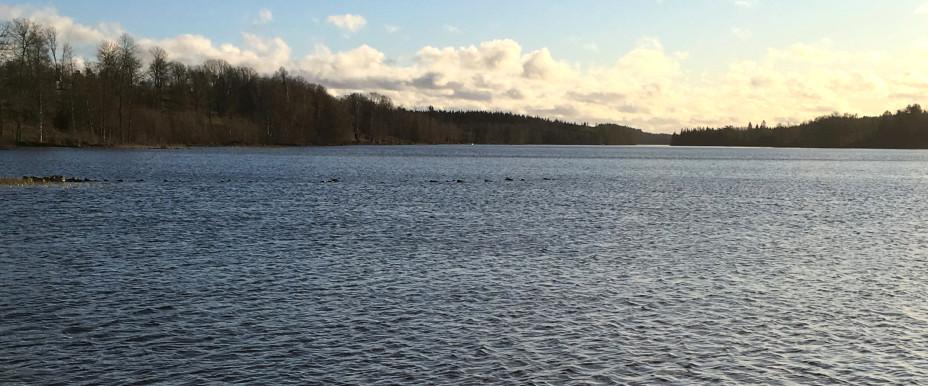 Sötåsasjön - Image 3