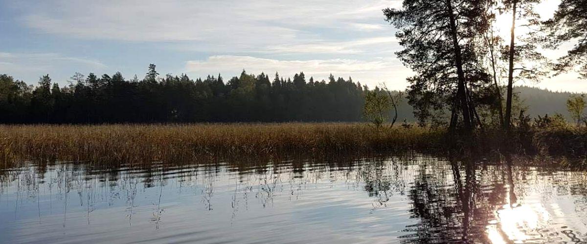 Husby Norra FVOF - Image 2