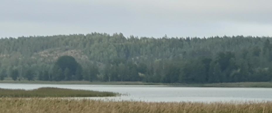 Strolångens FVOF - Image 2