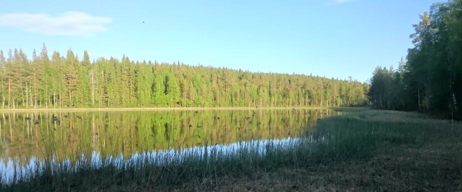 Västansjö, Lilltjärn, Storarmsjö, Lillarmsjö mfl - Image 15
