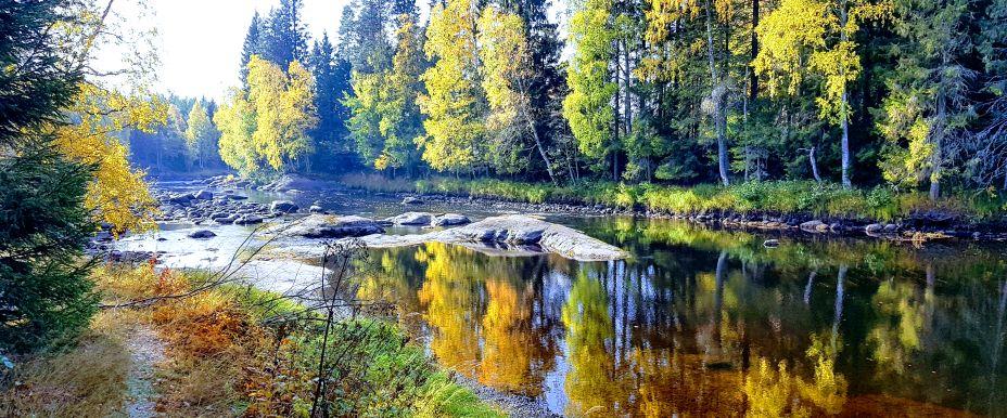 Rickleå Nedre - Image 5