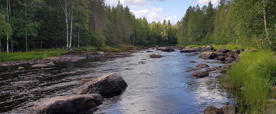Rickleå Nedre - Image 7