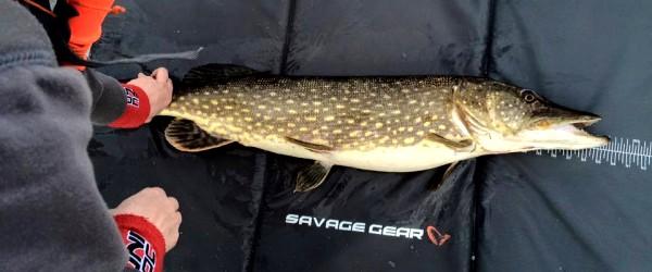 Magsjön, Östersjön, Västersjön samt del av Kolbäcksån - Image 4