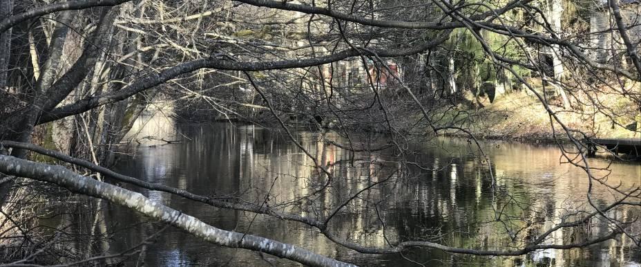 Flians övre - Image 2