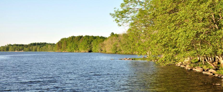 Örsjön - Image 2