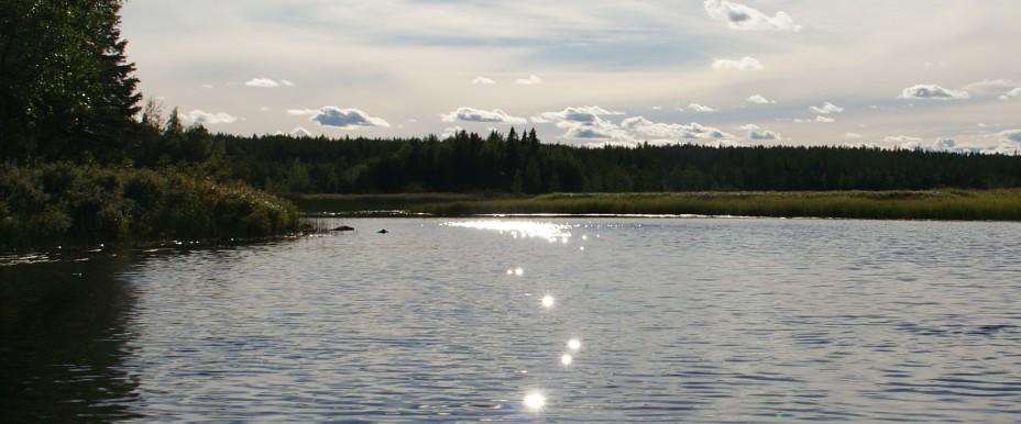 Byskeälvens FVO Västerbottensdelen - Image 3