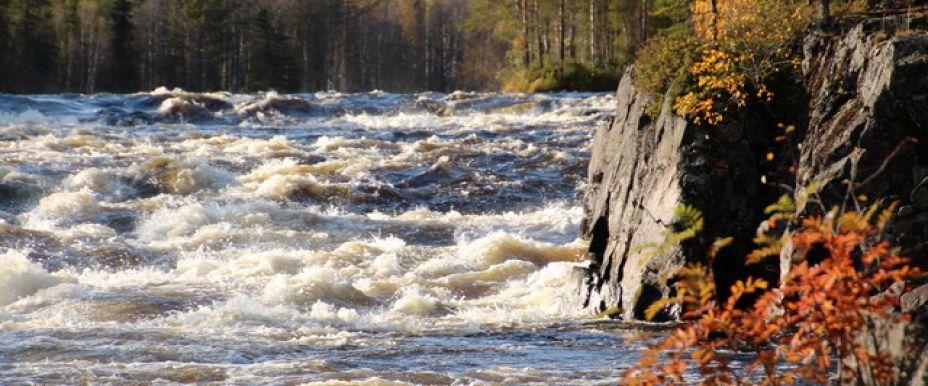 Byskeälvens FVO Västerbottensdelen - Image 5