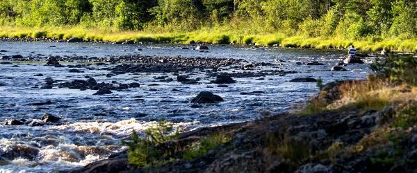 Västerdalälven, Ogströmmen m fl sjöar - Image 3