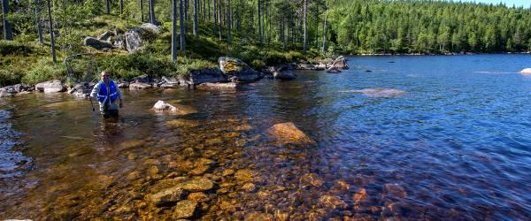 Västerdalälven, Ogströmmen m fl sjöar - Image 4