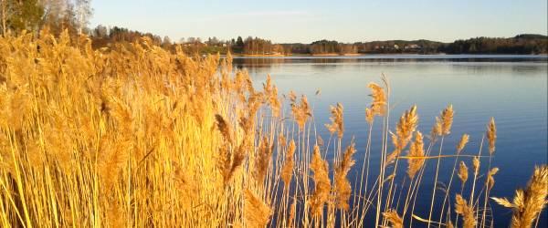 Åsunden - Image 3