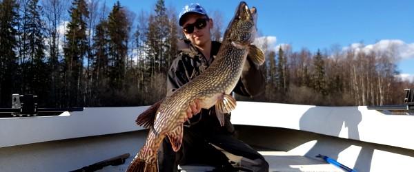 Hugn, Kölaälven, Vrångsälvens mynning, Mörttjärnet - Image 2