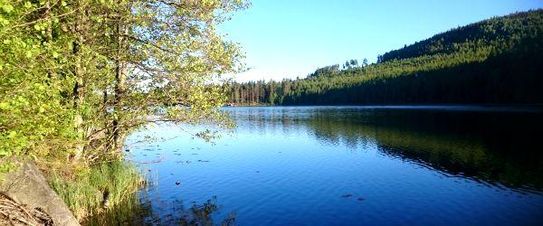 Bysjön, Västerdalälven, Närsen mfl - Image 3